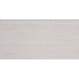 Emser Metro 12"x24" Polished Cream