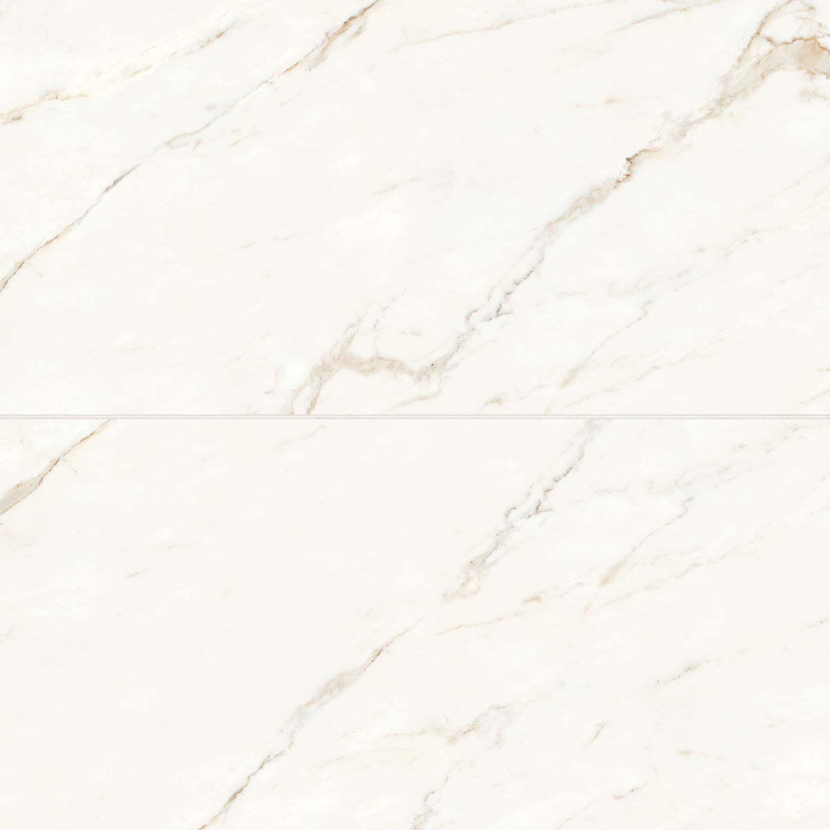 Bedrosians Magnifica 24" x 48" Polished Calacatta Oro