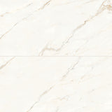 Bedrosians Magnifica 24" x 48" Polished Calacatta Oro