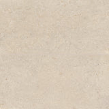 Bedrosians Poetry Stone 24" X 48" Matte Beige