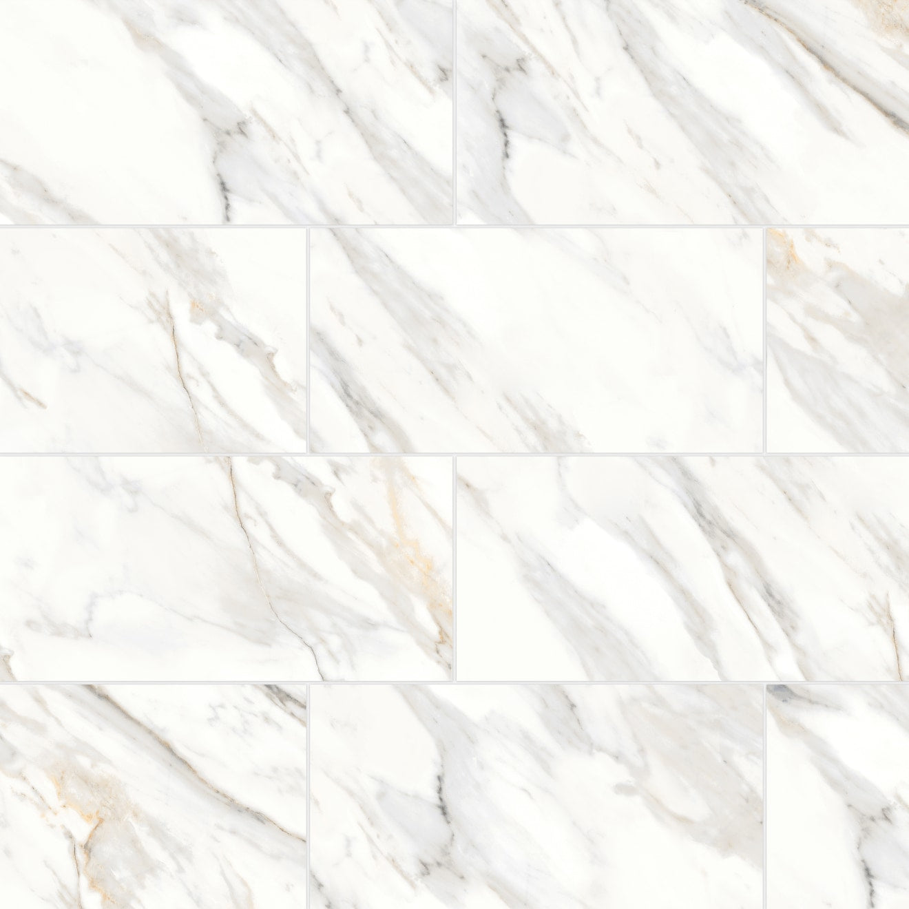 Bedrosians Shandar 12" X 24" Polished Arezzo Bianco