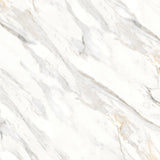 Bedrosians Shandar 48" X 48" Polished Arezzo Bianco