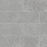 Bedrosians Shandar 12" X 24" Matte Florence Grey (Textured)