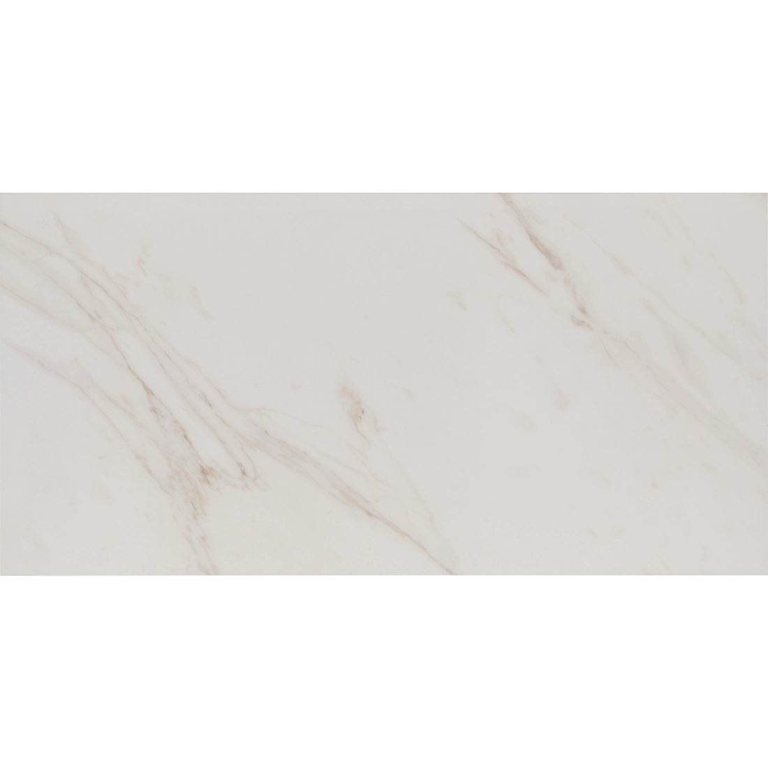 Tile Shop I Tresana 24x48 Polished White