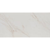 Tile Shop I Tresana 24x48 Polished White