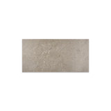 Daltile Artiquity 12'' X 24'' Matte Renoir Grey