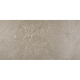 Daltile Advantage 10'' X 14'' Satin Renoir Grey