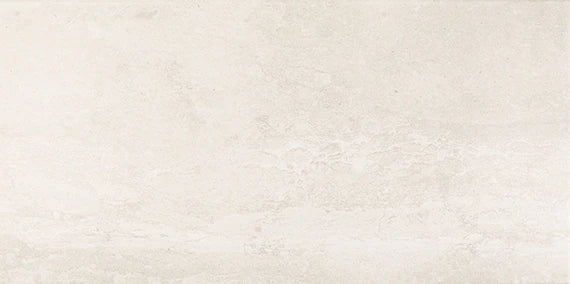 Daltile Epitomize 12" X 24"  Aria White