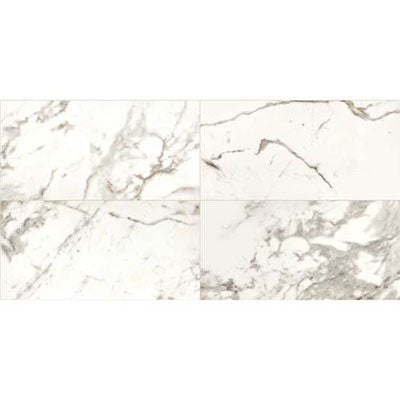 Daltile Marble Attache 12" X 24" Matte Calacatta