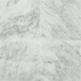 Daltile Marble 3" X 6" Honed Carrara White