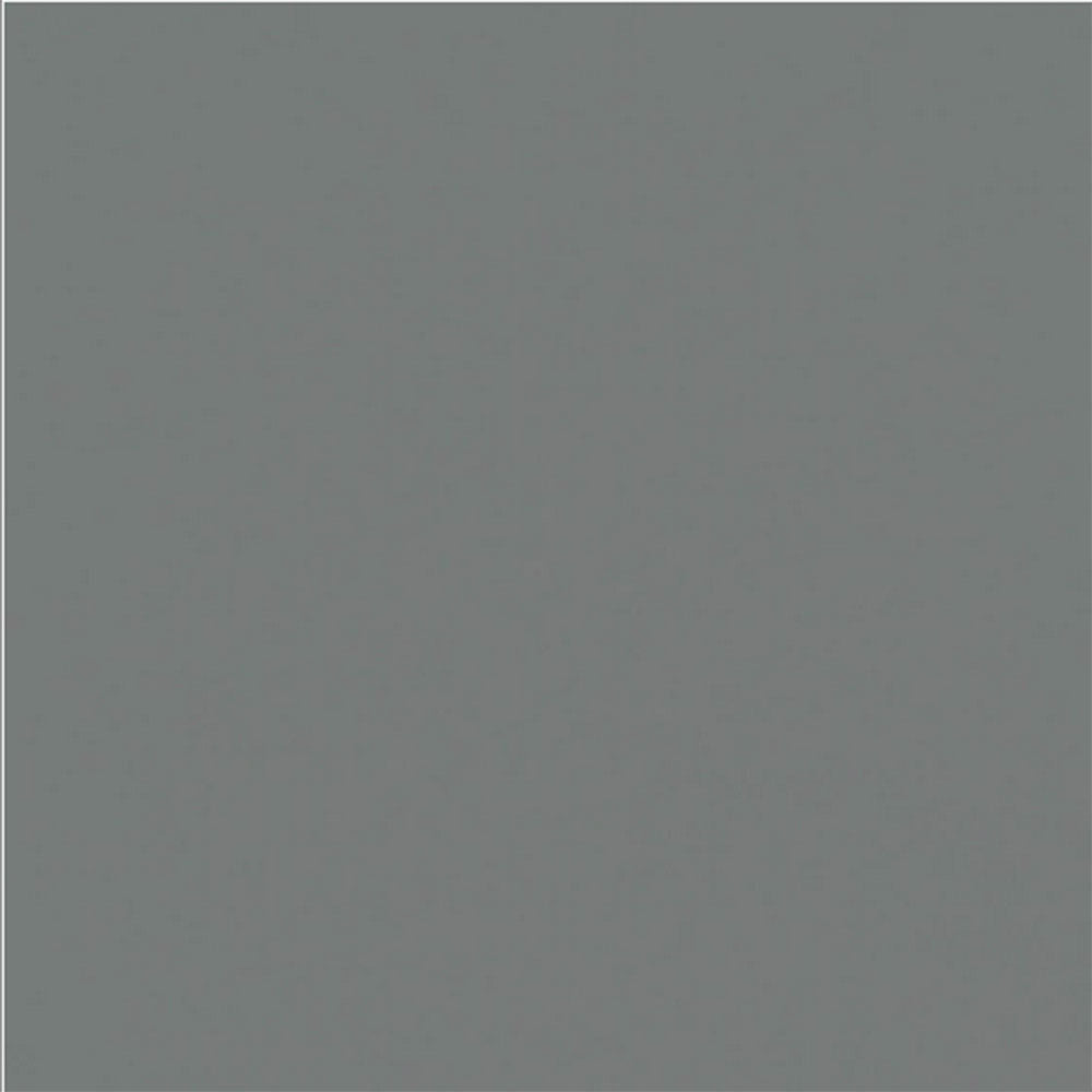 Daltile Median 24" X 24" Polished Charcoal