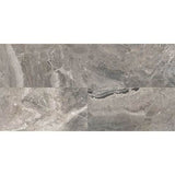 Daltile Marble Attache 12" X 24" Matte Crux