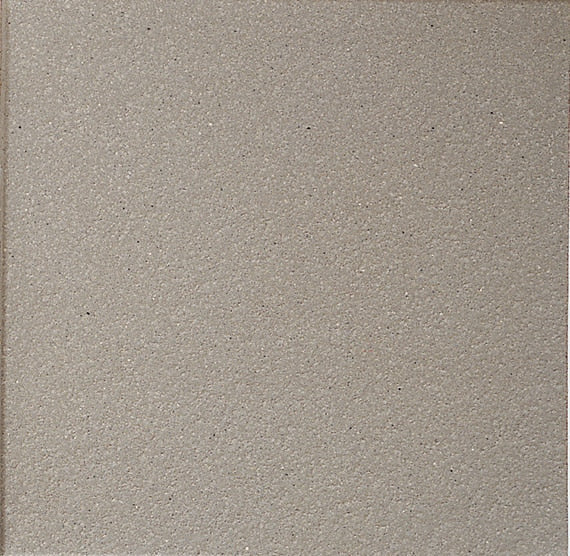 Daltile Quarry 6" X 6" Matte Arid Flash