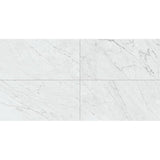 Daltile Marble Attache Lavish 24" X 48" Satin Diamond Carrara