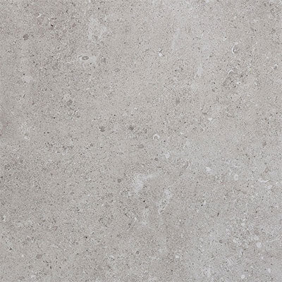 Daltile Dignitary 12" X 24" Light Polished Eminence Grey