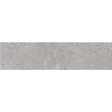 Daltile Dignitary 6" X 24" Matte Eminence Grey