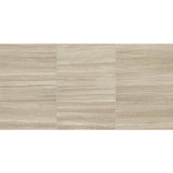 Daltile Articulo 12" X 24" Polished Feature Beige