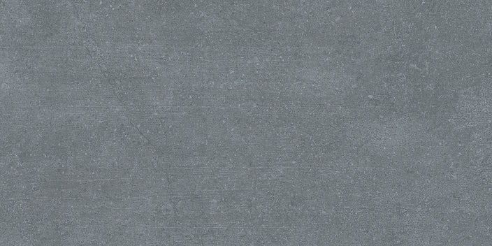 Emser Fixt Cement 12"x24" Matte Dark Gray