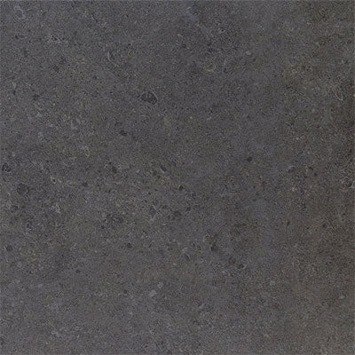 Daltile Dignitary 12" X 24" Light Polished Governor Black