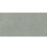 Daltile Stare Mystone Moon 24" X 48" Matte Grey