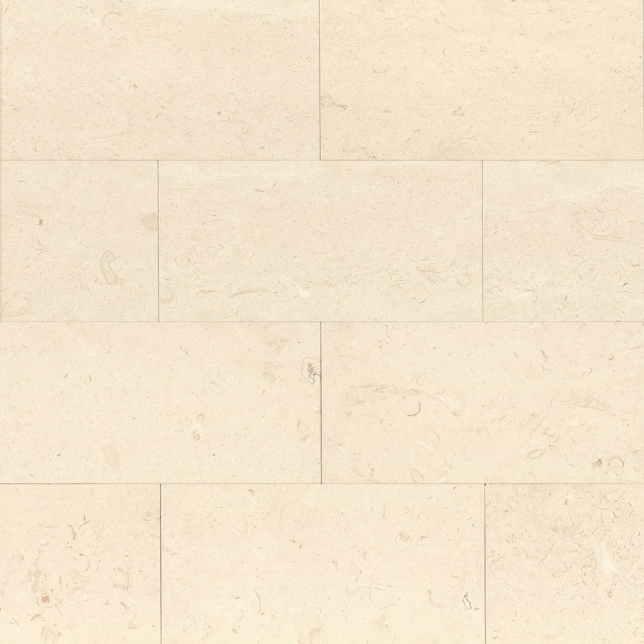 Bedrosians Limestone 12" X 24"  Corinthian White