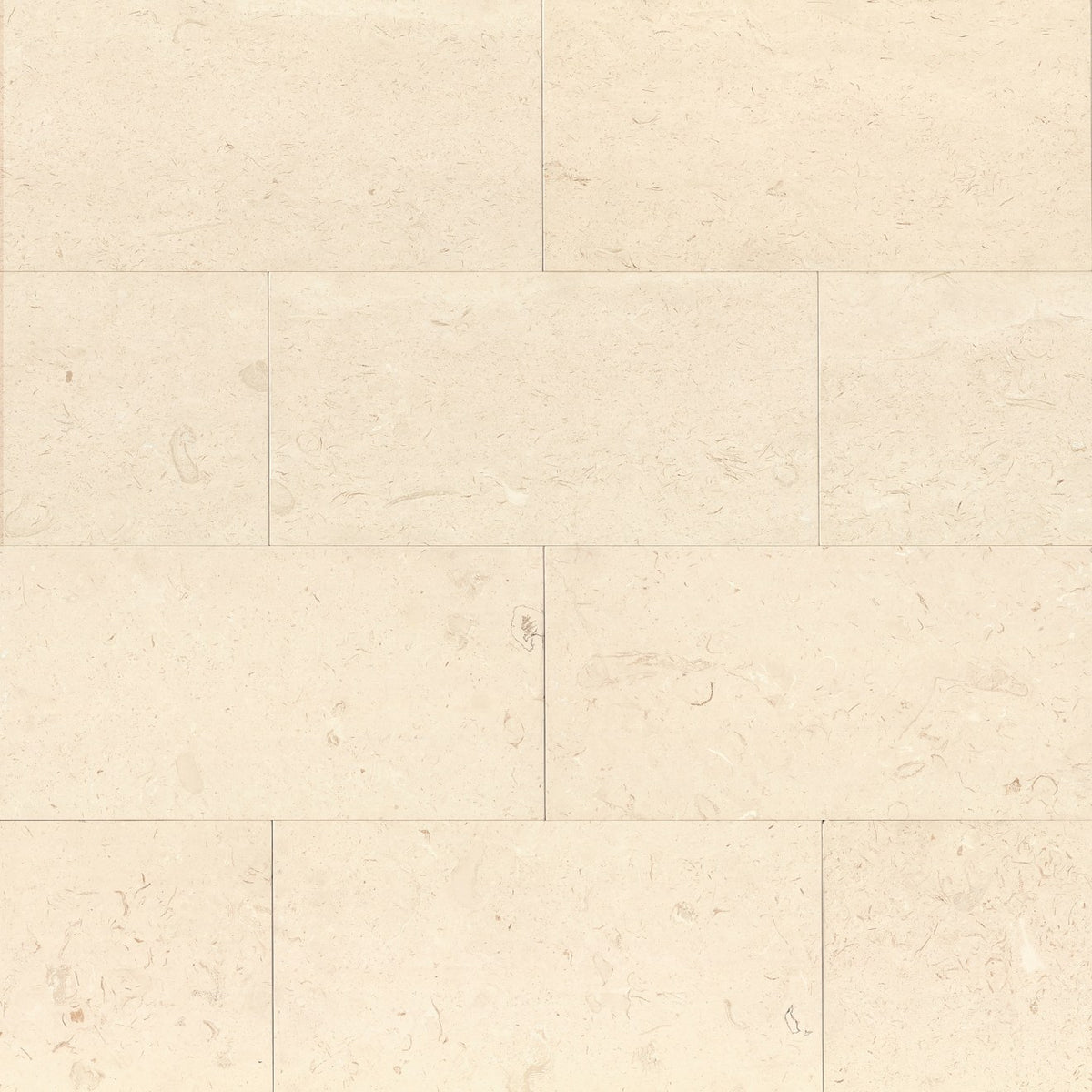 Bedrosians Limestone 12" X 24"  Corinthian White