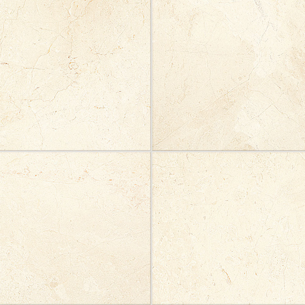 Daltile Marble 12" X 24" Honed Latte