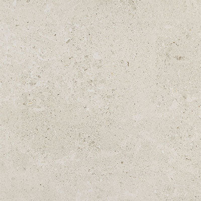 Daltile Dignitary 12" X 24" Rectangle Matte Luminary White