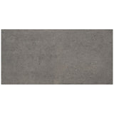 Marazzi Modern Formation 12" X 24" Light Polished Smoky Ridge