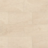 Bedrosians Marble 12" X 24" Honed Crema Marfil Select