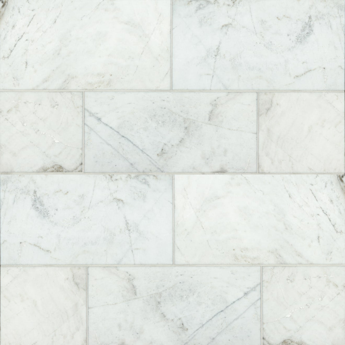 Bedrosians Marble 12" X 24" Polished Glorious White