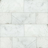 Bedrosians Marble 12" X 24" Polished Glorious White