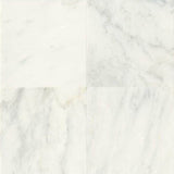 Daltile Marble 18" X 18" Honed First Snow Eleg