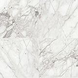 Daltile Marble 18" X 18" Honed Venetian Calacatta