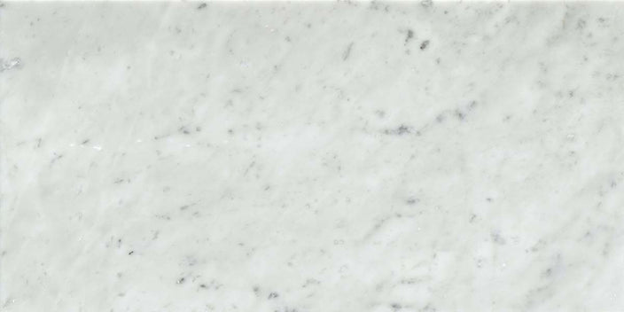 Emser Marble Gioia 12"x24" Honed Bianco