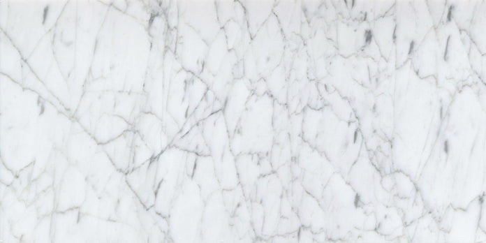 Emser Marble Gioia 12"x24" Polished Bianco