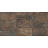 Daltile Slate Attache 12" X 24" Multi Brown