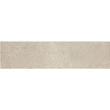 Daltile Dignitary 6" X 24" Matte Notable Beige