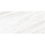 Daltile Perpetuo 12" X 24" Polished Timeless White