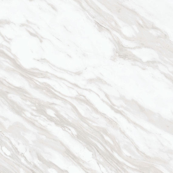 Daltile Perpetuo 12" X 12" Polished Timeless White