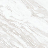 Daltile Perpetuo 24" X 24" Matte Timeless White