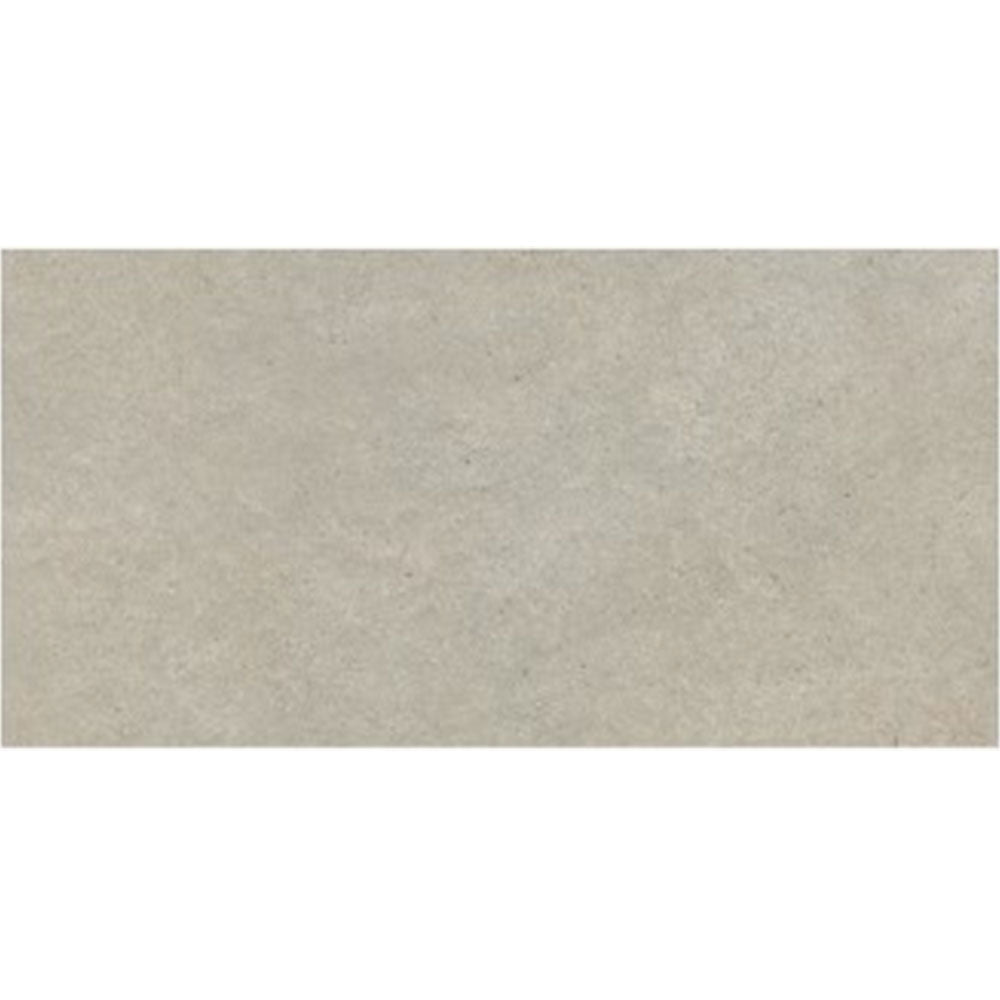 Daltile Stare Terratech 12" X 24" Matte Polvere