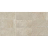 Daltile Rekindle 12" X 24" Beige