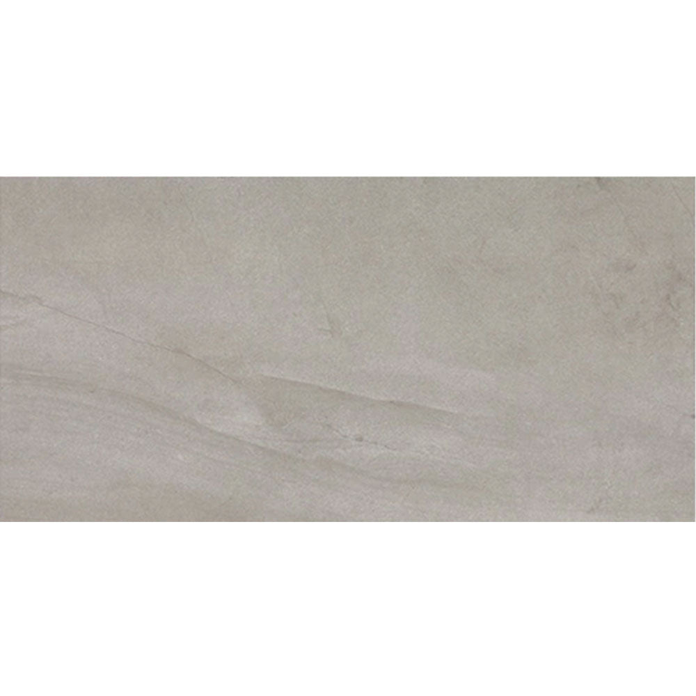 Daltile Wanderwise 12" X 24" Roam