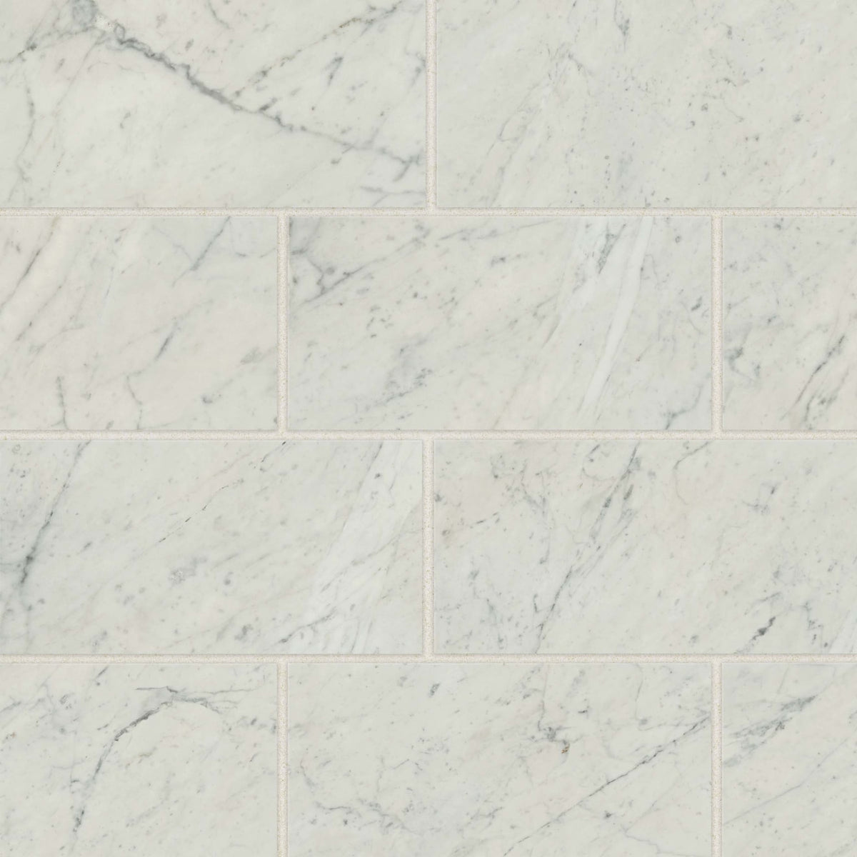 Bedrosians Classic 2.0 12" x 24" Polished Bianco Carrara