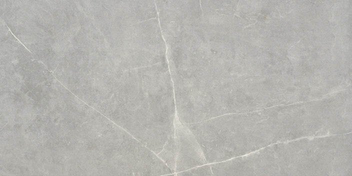 Emser Sterlina II 12"x24" Polished Gray