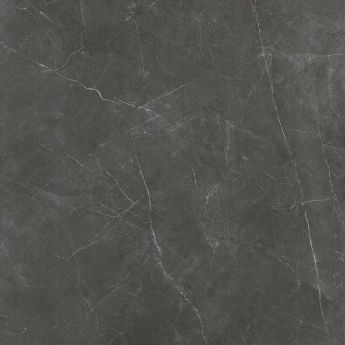 Emser Sterlina II 24"x24" Polished Asphalt