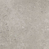 Daltile Dignitary 12" X 24" Light Polished Superior Taupe