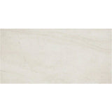 Daltile Wanderwise 12" X 24" Swan