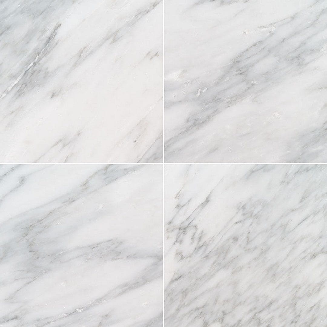 MS International Natural Stone Marble 12" x 12" Polished Arabescato Cararra